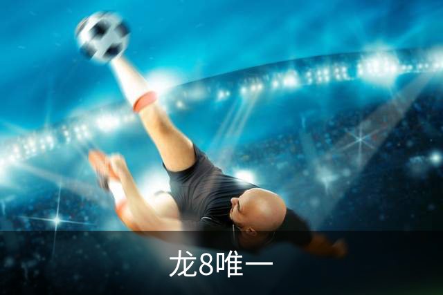 龙8唯一公司介绍